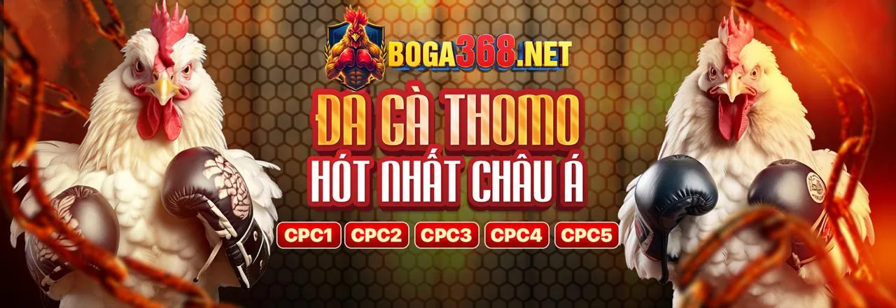 Sự kiện đặc biệt và giải đấu hấp dẫn
